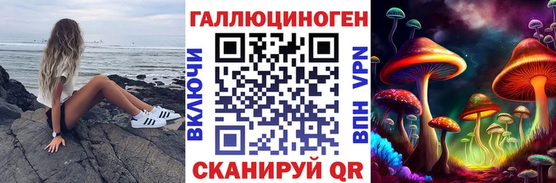 Галлюциногенные грибы Psilocybine cubensis  Каменка 
